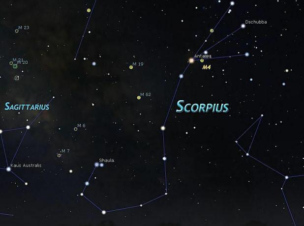 scorpius