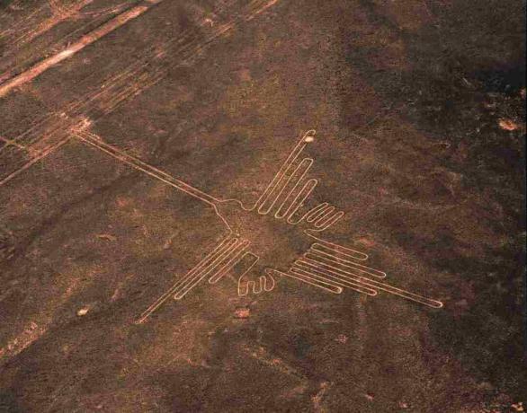 Αεροφωτογραφία του Geoglyph Hummingbird, Γραμμές Nazca