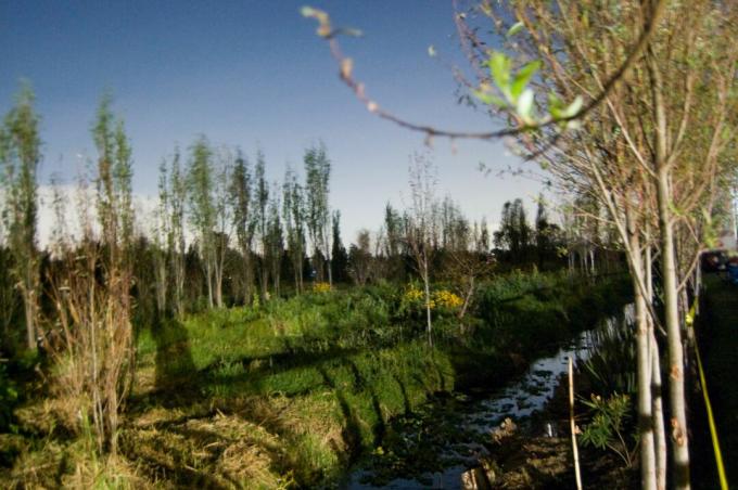 Σκηνή πεδίου Chinampa, Xochimilco