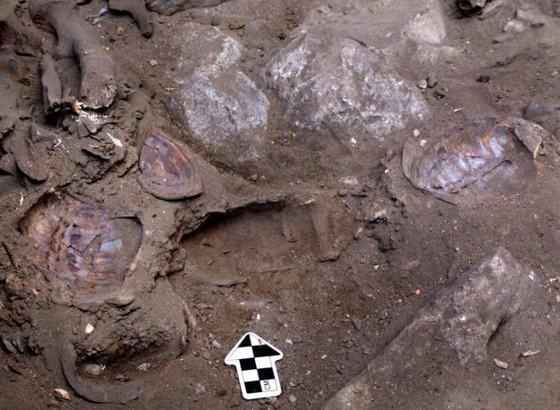 Ισραηλινοί αρχαιολόγοι ανακαλύπτουν την She-Shaman Turium