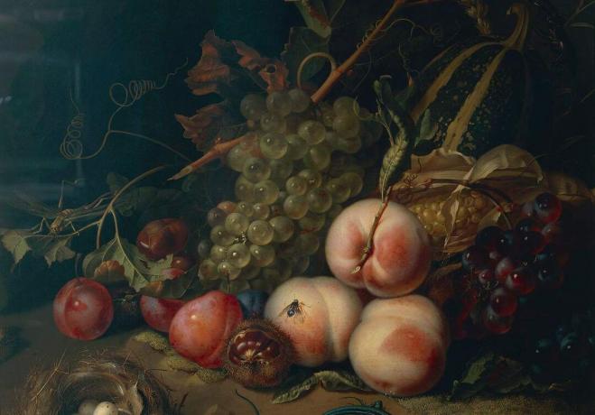 Comp Save to Board Italy, Florence, Νεκρή φύση με φρούτα και έντομα από τη Rachel Ruysch, 1711, λάδι σε καμβά, λεπτομέρεια