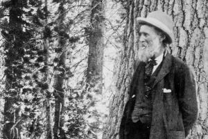 Φωτογραφία του John Muir στο δάσος