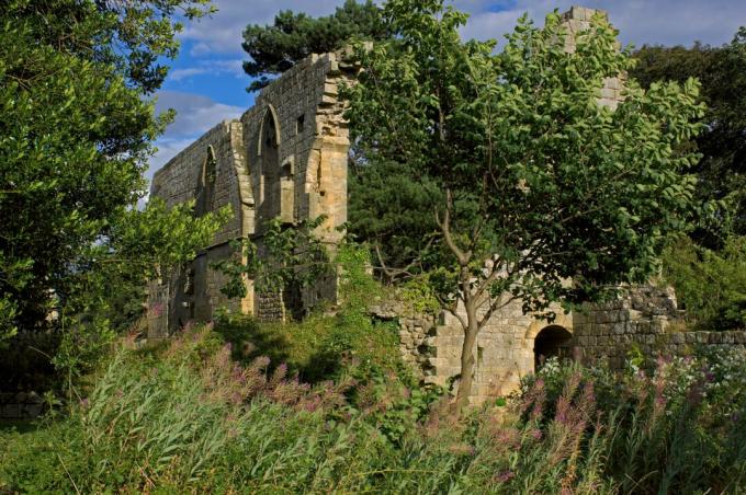 Abbey Jervaulx, κοντά στο Masham, Βόρειο Γιορκσάιρ, Αγγλία