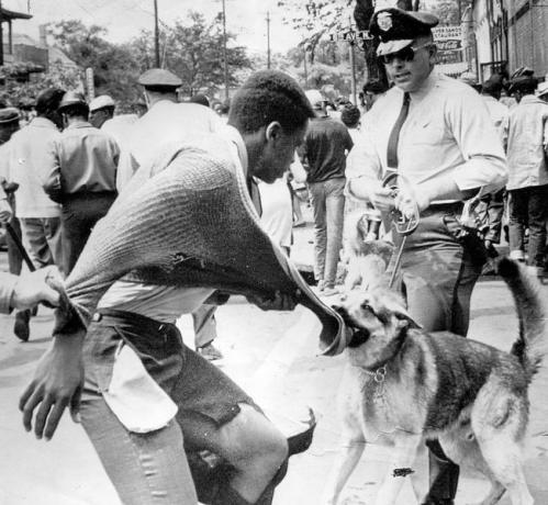 Ένας μαύρος Αμερικανός διαδηλωτής που δέχεται επίθεση από αστυνομικό σκύλο κατά τη διάρκεια διαδηλώσεων κατά του διαχωρισμού, Μπέρμιγχαμ, Αλαμπάμα, 4 Μαΐου 1963.
