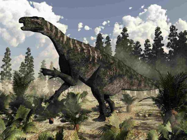 Ο δεινόσαυρος Iguanodon βρυχάται ενώ περιβάλλεται από φτέρες, κύκλες και φυτά wollemia.