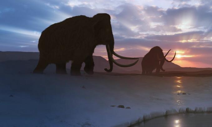 Τέχνη του Mammoth της Τούντρας