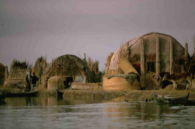 Σπίτια Ρεϊντ στο Marsh Arab Village