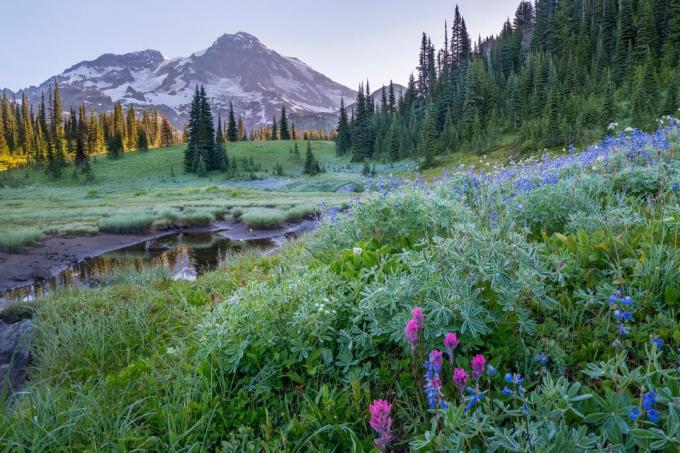 Εθνικό Πάρκο Mount Rainier