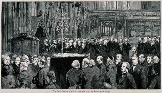 Η τελετή κηδείας του Τσαρλς Ντάργουιν στο Αβαείο του Γουέστμινστερ, Απρίλιος 1882